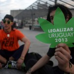 Сможет ли Уругвай уничтожить наркокартели с помощью легализации конопли?