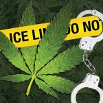 Арест правоохранителей за использование марихуаны