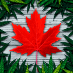 Как изменился уровень преступности в Канаде после легалайза?